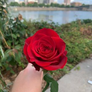 Meet your Posher, Rachel